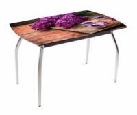 Обеденный 5.1 Mini Сирень