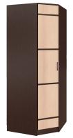 Шкаф Сакура (88) угловой (венге, лоредо-венге,(БТС)) в Донецке от производителя 