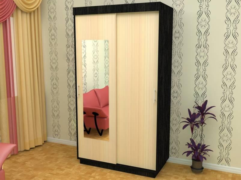 Фото Шкаф-купе ШОН-1 (2 двери) от производителя Пирамида в Донецке по цене 16&nbsp;010 ₽