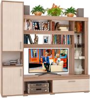 Фото stenki-v-gostinuyu стенка сити производитель Пирамида