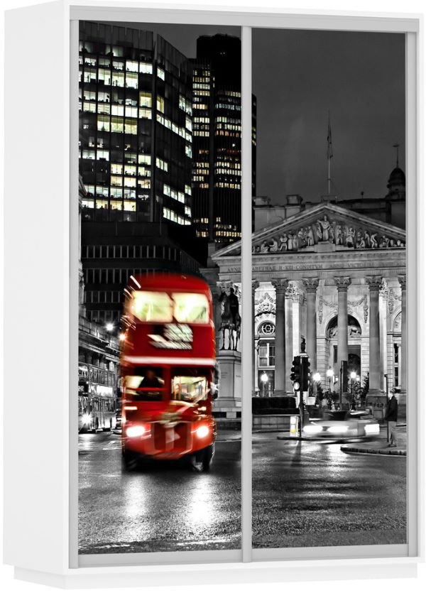 Фото Шкаф-купе Экспресс Дуо Фото (1,6х0,6х2,2 - 2 двери) от производителя Мебельная компания Е1 в Донецке по цене 39 840 ₽