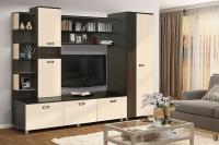 Фото gostinye-so-shkafom стенка аллегро вар.№2  производитель Диал