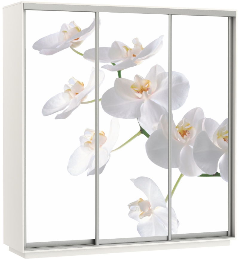 Фото Шкаф-купе Экспресс Трио Фото (2,4х0,6х2,4 - 3 двери) от производителя Мебельная компания Е1 в Донецке по цене 63 870 ₽